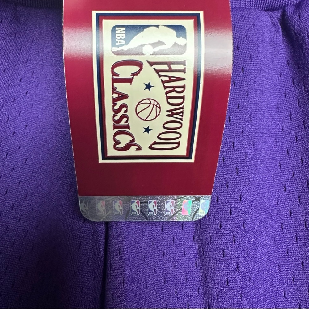 NBA X BODEGA WORLDWIDE RESPECT LAKERS SHORTS - Picture 7 of 12